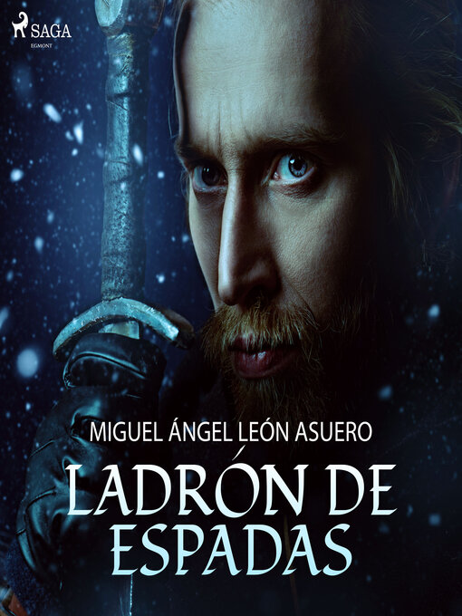 Title details for Ladrón de espadas by Miguel Ángel León Asuer - Wait list